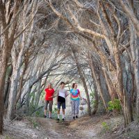 Family walking along a tree-lined coastal track leading to the beach south of Sydney