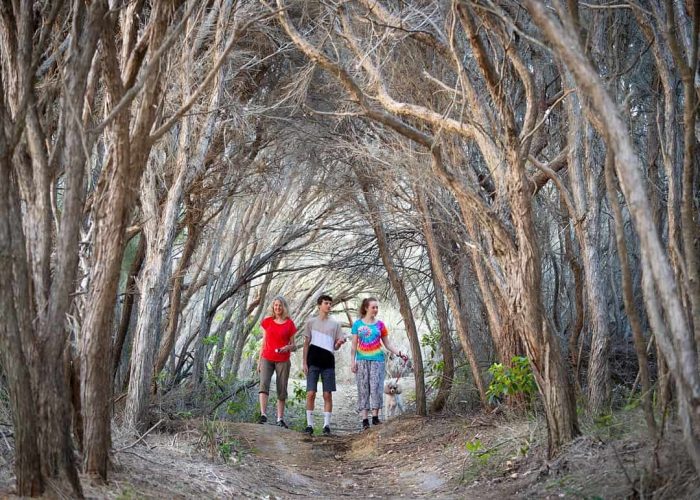 Family walking along a tree-lined coastal track leading to the beach south of Sydney