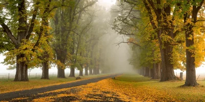 Autumn mist landscape in New England High Country New South Wales Australia fine art print