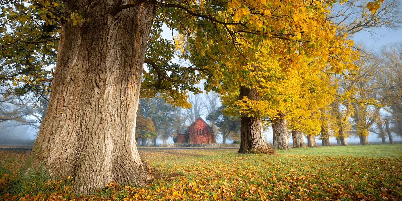 Fairyland Chapel nestled in misty New England High Country New South Wales Australia fine art print