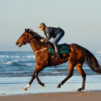 Horse owner riding along Coffs Harbour beach