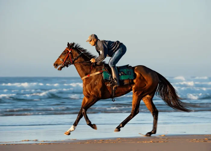 Horse owner riding along Coffs Harbour beach
