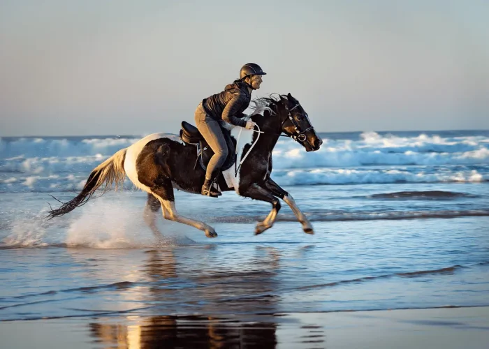 Horse owner riding through the waves at Coffs Harbour beach